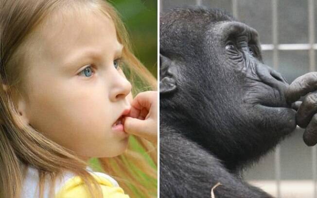 Uma menina e um macaco pensando na vida.