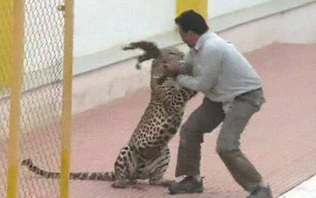Vdeo mostra exato momento em que o leopardo agarra o brao de um homem em escola indiana