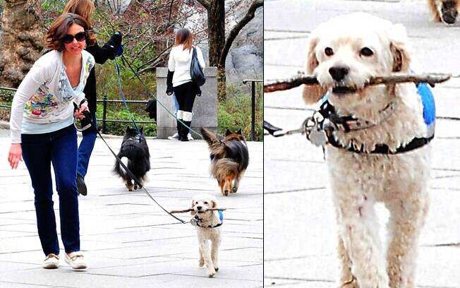 Ao contrário de alguns amigos famosos, o cão de Ashley Judd prefere o Central Park, e m Nova York, para suas caminhas