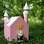 Para quem trata o seu pet como um reizinho, uma opção é a casa em forma de castelo, que sai por R$ 5 mil. Foto: Divulgação