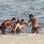 Paulinho Vilhena salva turista de afogamento na praia do Recreio dos Bandeirantes. Foto: AgNews