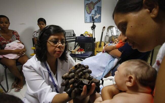 Bebês diagnosticados com microcefalia são atendidos em centro de reabilitação no Recife