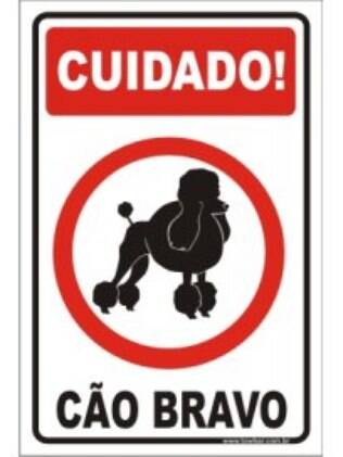 O fato de o cão ser bravo pode não estar ligado diretamente a raça dele