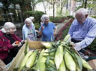 Residentes do asilo Montgomery Place escolhem vegetais na feirinha do produtor, em Chicago