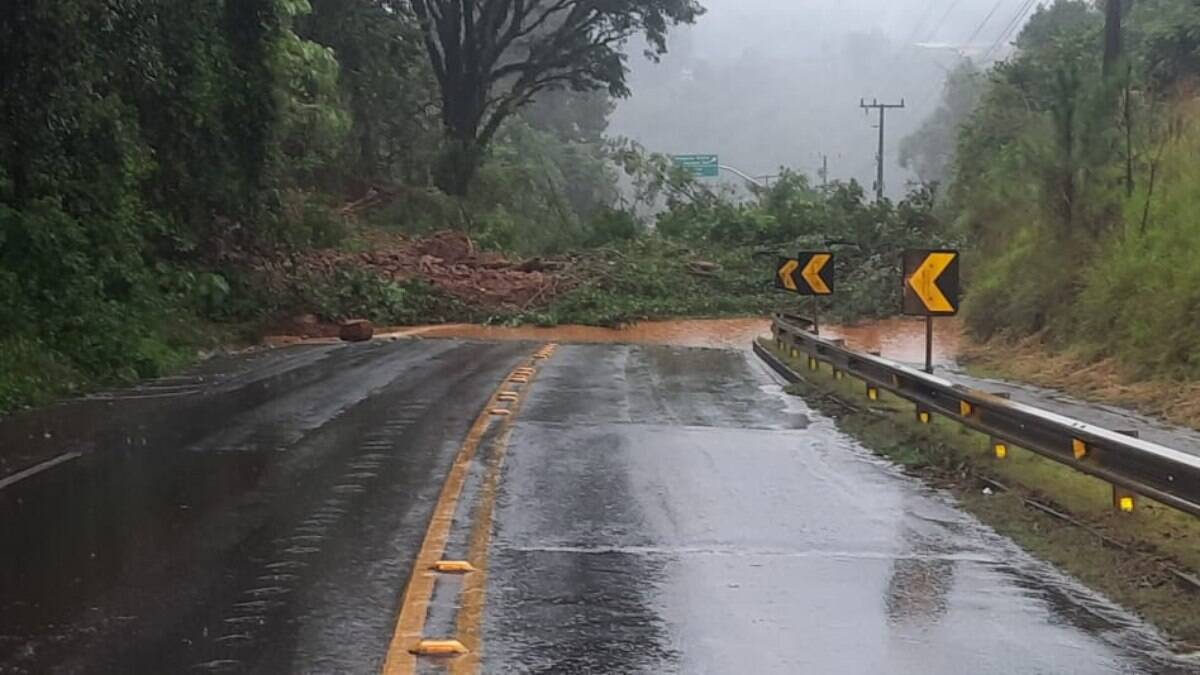 Chuvas Causam Enchentes E Deslizamentos Em Santa Catarina Veja Fotos