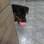 Débora Martinelli e o marido, Thiago, adotaram Luna para ser cão de guarda da casa. Mas ela tomou conta mesmo é do coração dos dois. . Foto: Arquivo pessoal