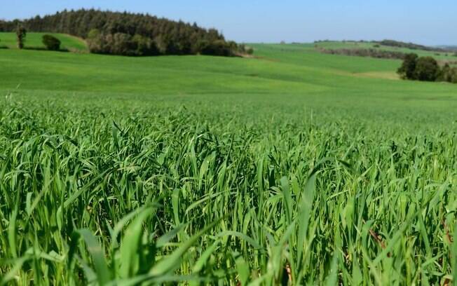 Especialistas ligam uso de agrotóxicos à alta incidência de câncer no Rio Grande do Sul