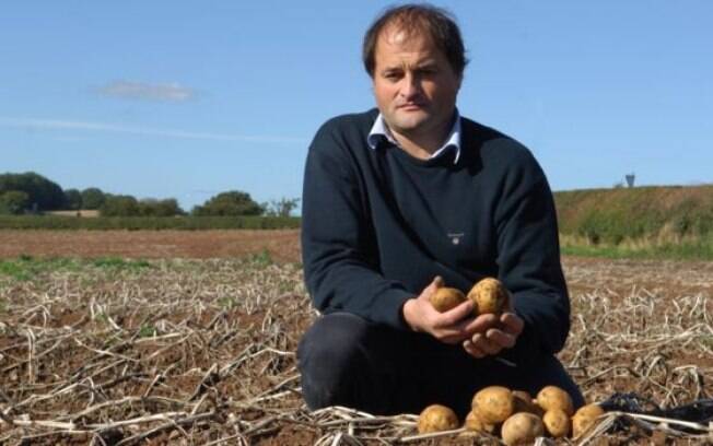 Cultivar batatas é uma atividade que, segundo o empreendedor William Chase, ele herdou do pai