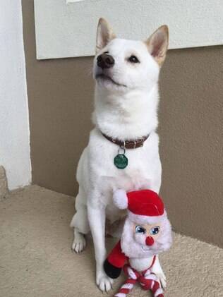 Naya e seu brinquedo de Papai Noel