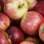 A maçã contém quercetina, um flavonóide potente contra o câncer. Foto: Getty Images