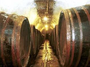 Dezenas e dezenas de barris e tonéis fermentam a cerveja nos porões