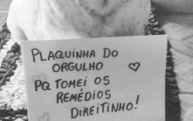 Um catioro que toma os seus remédios numa boa.