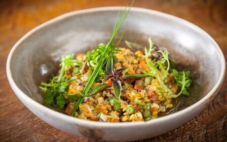 Saia do básico na lentilha