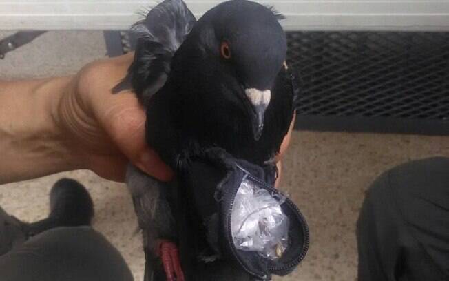 Pombo foi interceptado antes de entregar as drogas em penitenciária da Costa Rica