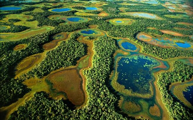 Pantanal