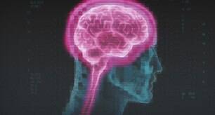 Seu cérebro durante o jogo