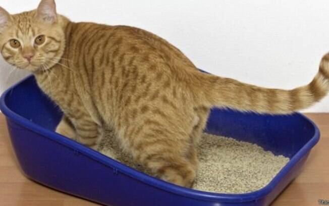 Areia de caixa de gatos é um material útil nestes casos