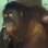 Orangotango fumante, Indonésia: Tori aprendeu a fumar imitando visitantes do zoológico Taru Jurug, que jogavam cigarros em sua jaula. Foto: Reprodução/Youtube