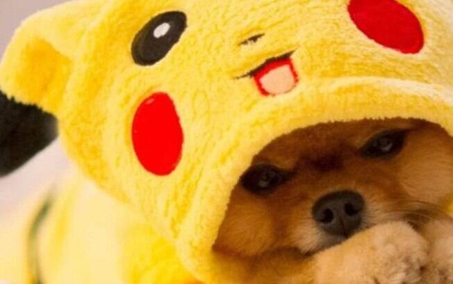 Muitos nomes de cachorros foram inspirados em Pokémon no ano de 2016