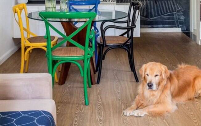 A convivência entre a família e o cachorro de apartamento pode ser muito boa