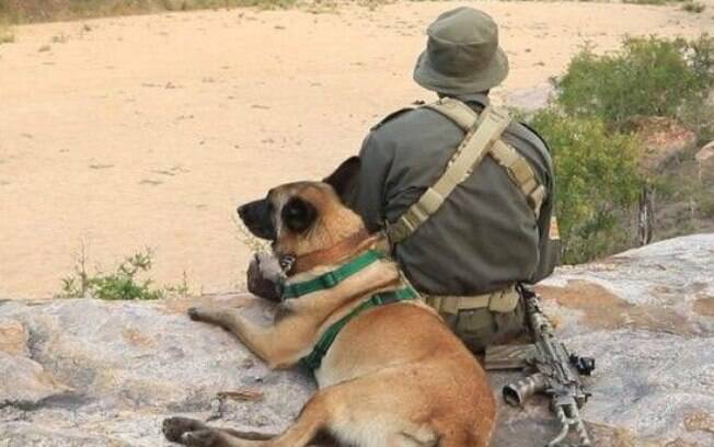 Killer K9 participou de ações que prenderam mais de uma centena de caçadores na África do Sul