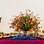 Uma arranjo de flores sempre deixa a mesa mais charmosa. Foto: Fernando Genaro / Fotoarena