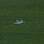 Chinelo foi atirado no gramado por um torcedor do Palmeiras durante a derrota no clássico contra o Corinthians. Foto: Futura Press