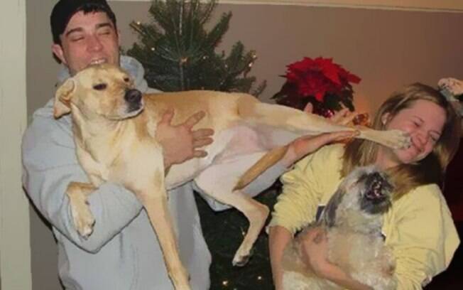 Animais que odeiam o Natal