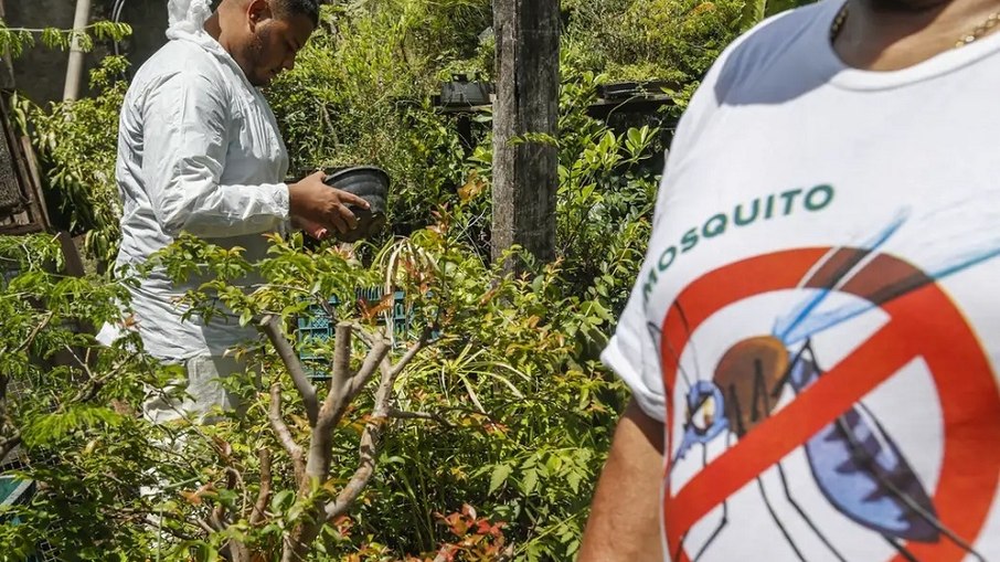 Menina De Anos Morte Por Dengue Em S O Paulo Em