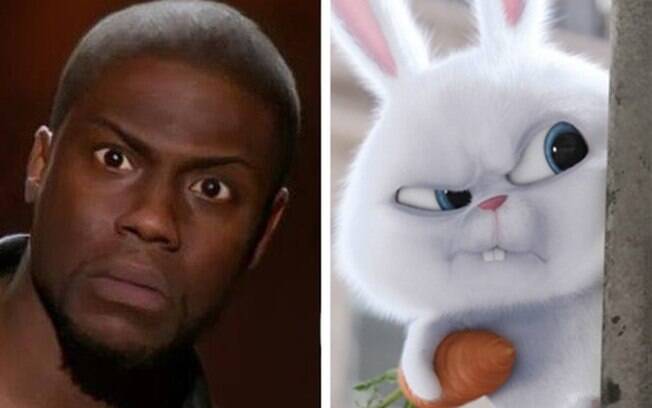Kevin Hart – Snowball (A Vida Secreta dos Animais)