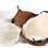 Leite de coco. Foto: Divulgação