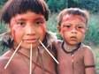 Tribo isolada na Amazônia tem genes resistentes a antibióticos