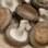 Cogumelo shitake: contém lentinana, substância que aumenta a produção das células de defesa do organismo. Foto: Thinkstock/Getty Images