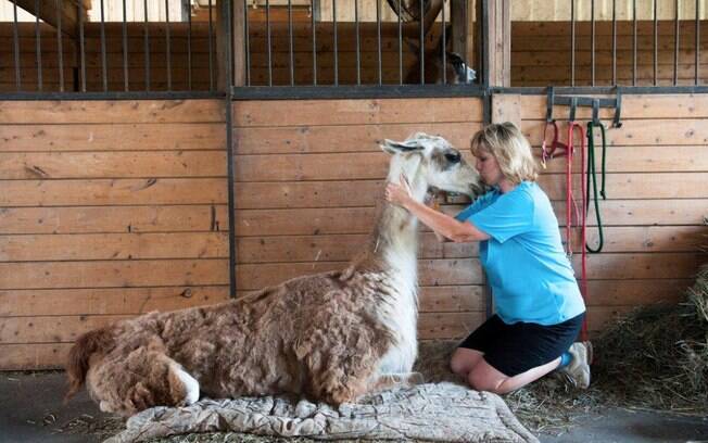 Katrina Capasso com a lhama Dakota, na fazenda Dakota Ridge, em Ballston Spa, Nova York