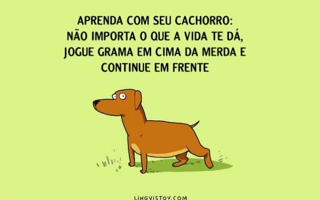 Dica de vida.