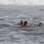 Paulinho Vilhena salva turista de afogamento na praia do Recreio dos Bandeirantes. Foto: AgNews