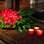 Velas e arranjos florais transformam o clima dos ambientes. Foto: Divulgação
