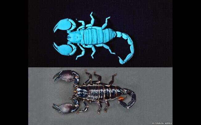 Minerais também podem conter moléculas fluorescentes que acendem sob luz ultravioleta