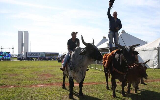 Vaqueiros levaram animais e armaram 'estábulo' na Esplanada dos Ministérios nesta terça-feira (25)