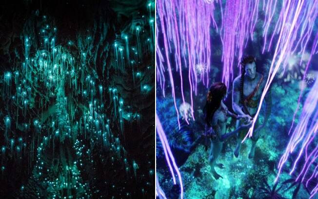 Caverna de Ruakuri e cena do filme 'Avatar' Caverna de Ruakuri e cena do filme 'Avatar'