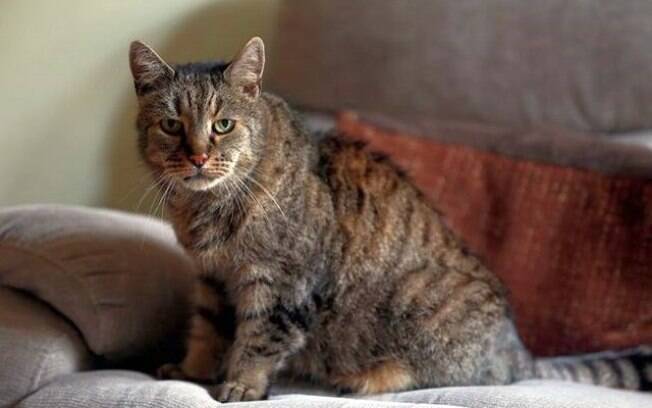 Nutmeg: 31 anos muitos bem vividos.