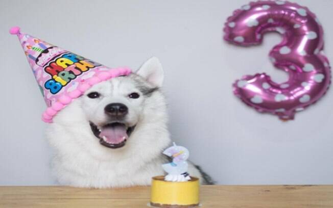 Festa de 3 anos de Maya