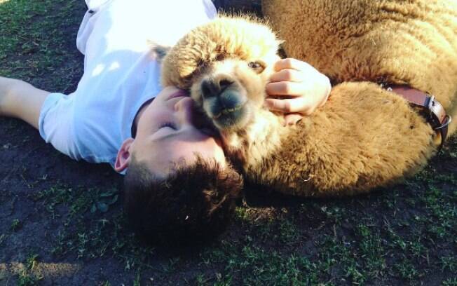 Matt e sua alpaca Chewy Matt e sua alpaca Chewy