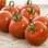 Tomates são mais adocicados e têm aroma e sabor muito mais intensos. Foto: Thinkstock/Getty Images