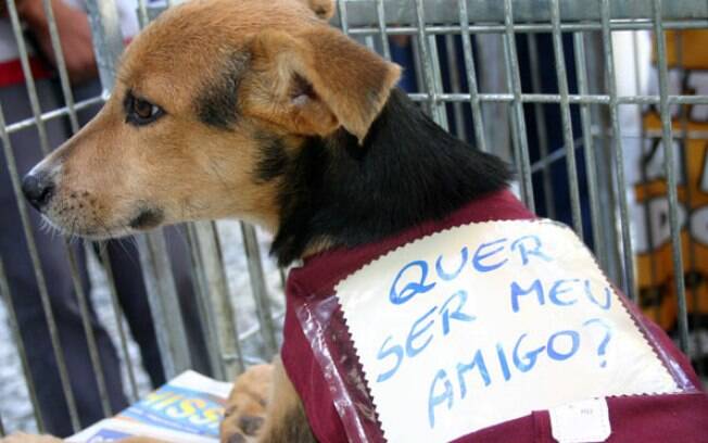 Me leva pra casa?