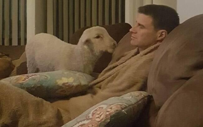 Assistindo TV