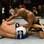 Thales Leites tentou levar o duelo para o chão, mas perdeu por pontos. Foto: Getty Images