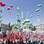 Manifestação em Roma reuniu mais de 200 mil pessoas que pedem mudanças na política econômica. Foto: EFE