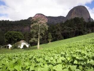 10 passeios bate e volta saindo de Vitória