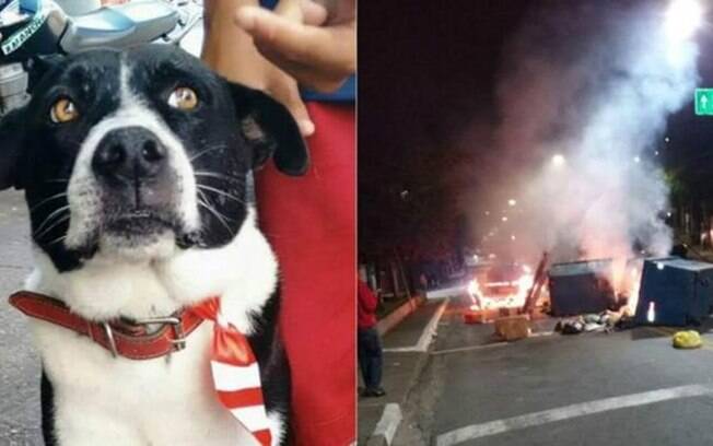 Moradores fazem protesto na favela de Heliópolis, na zona sul, após a morte do cão Bob